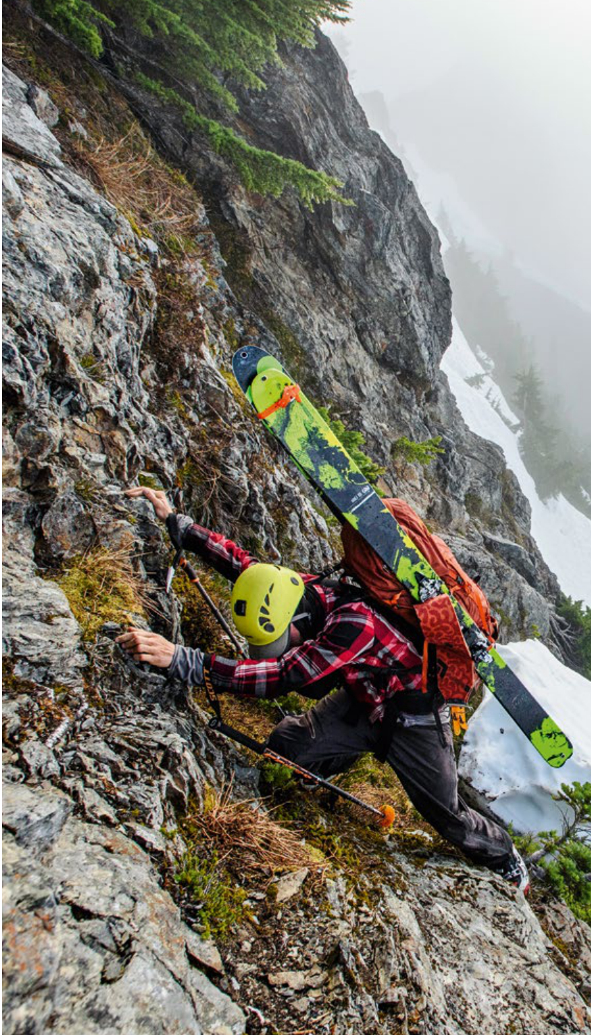 Olympic Wilderness