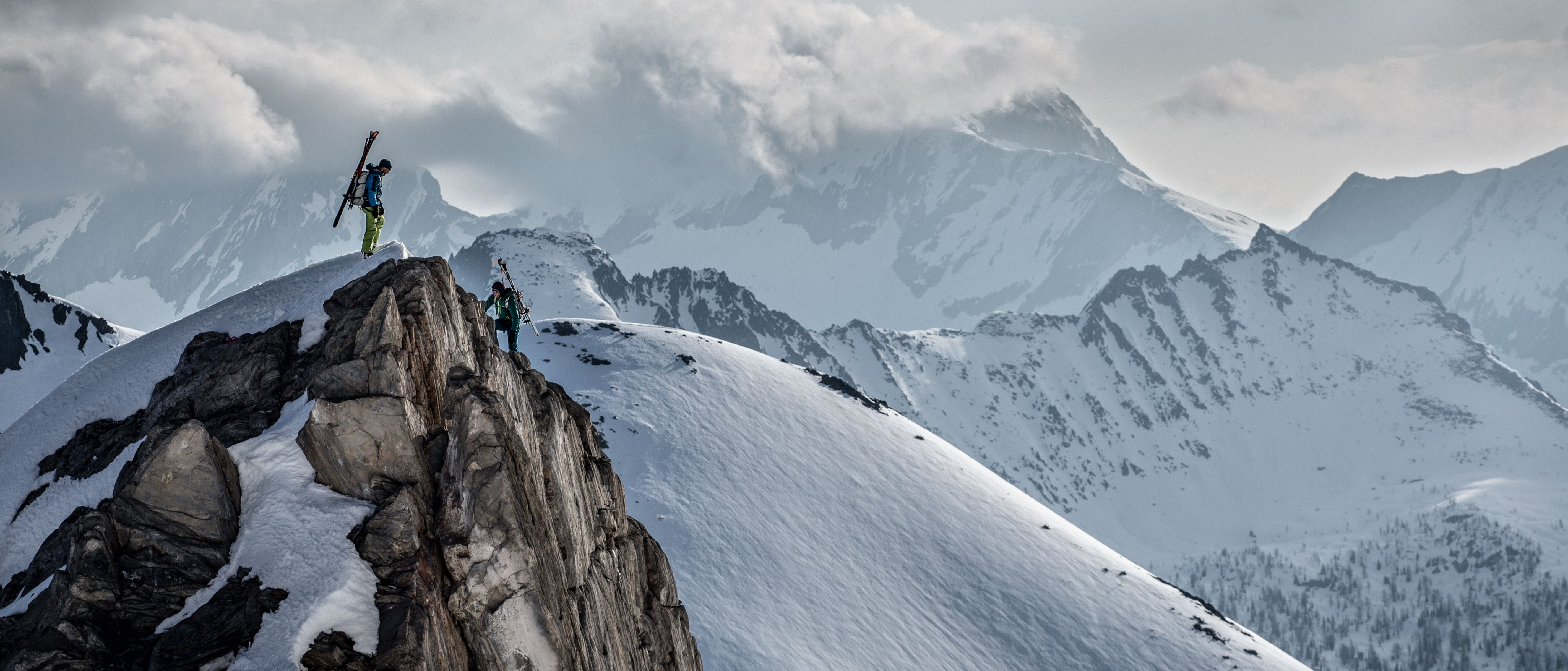 Journey into the Wild