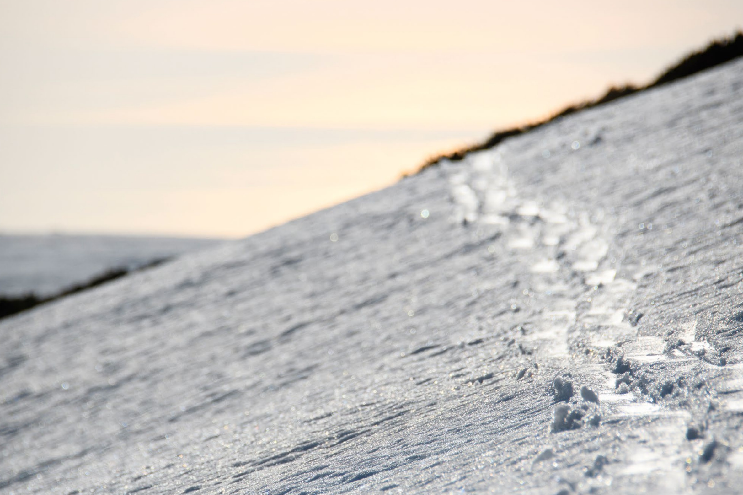 The Japanese Haute Route