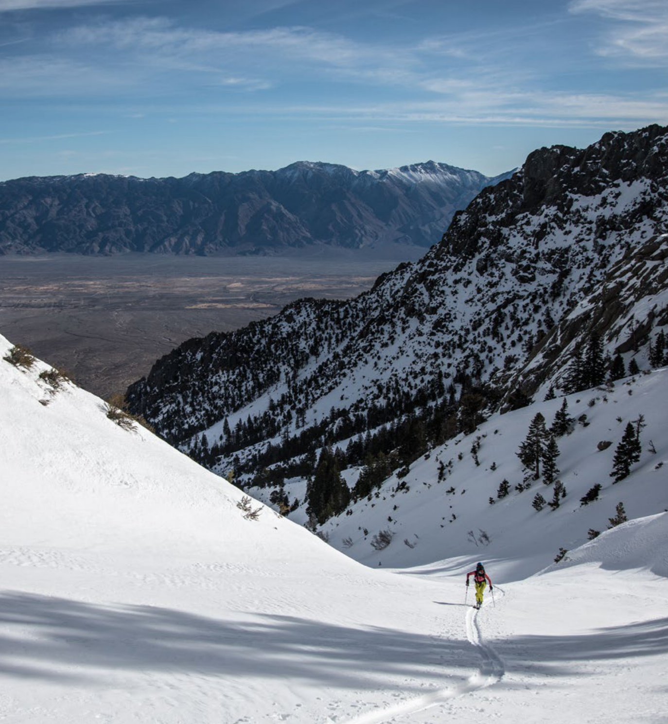 The Sierra Giant