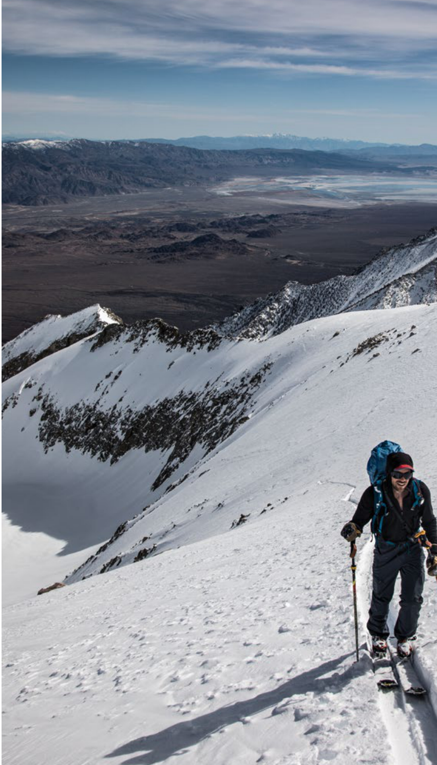 The Sierra Giant