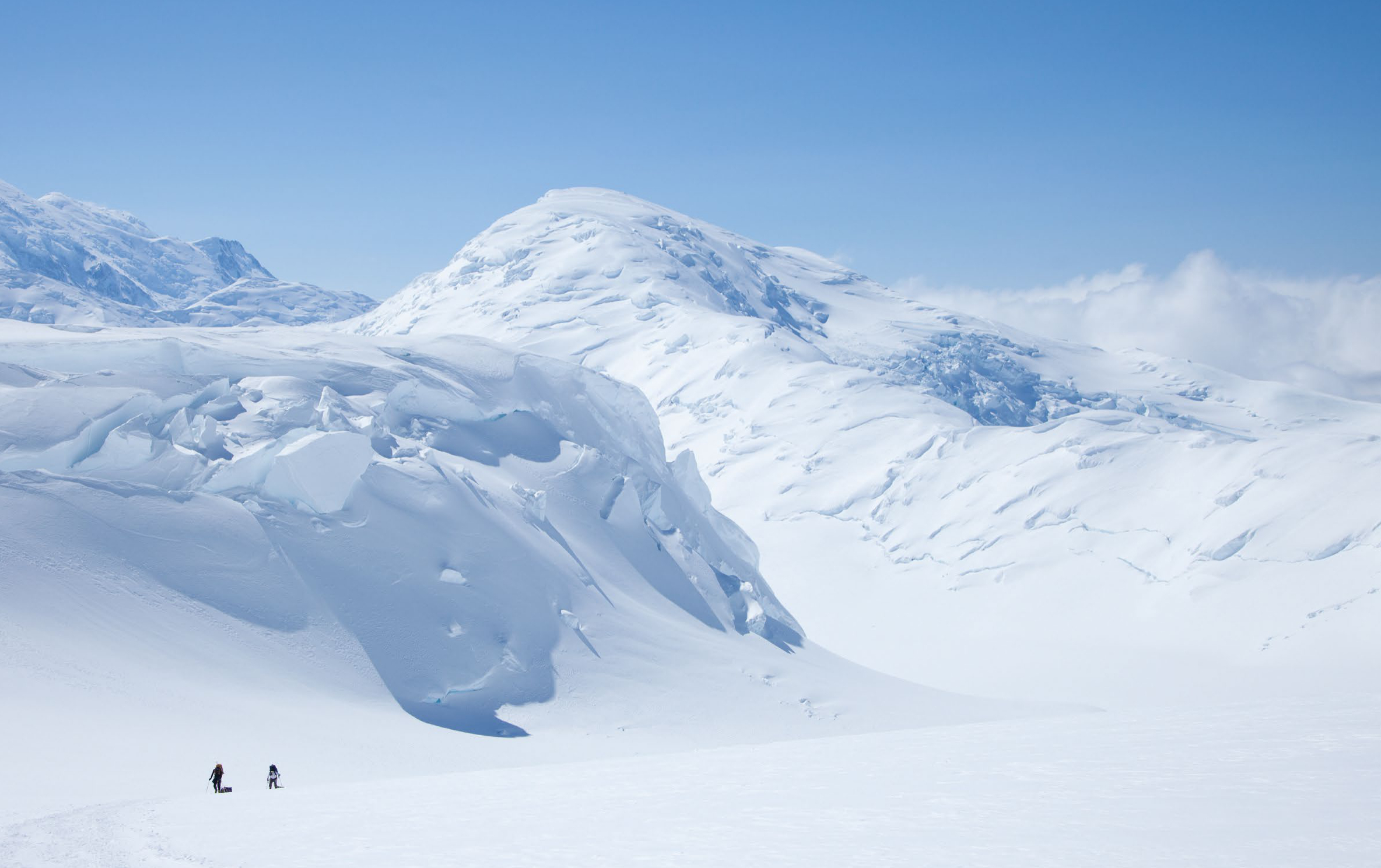 The Denali Experiment
