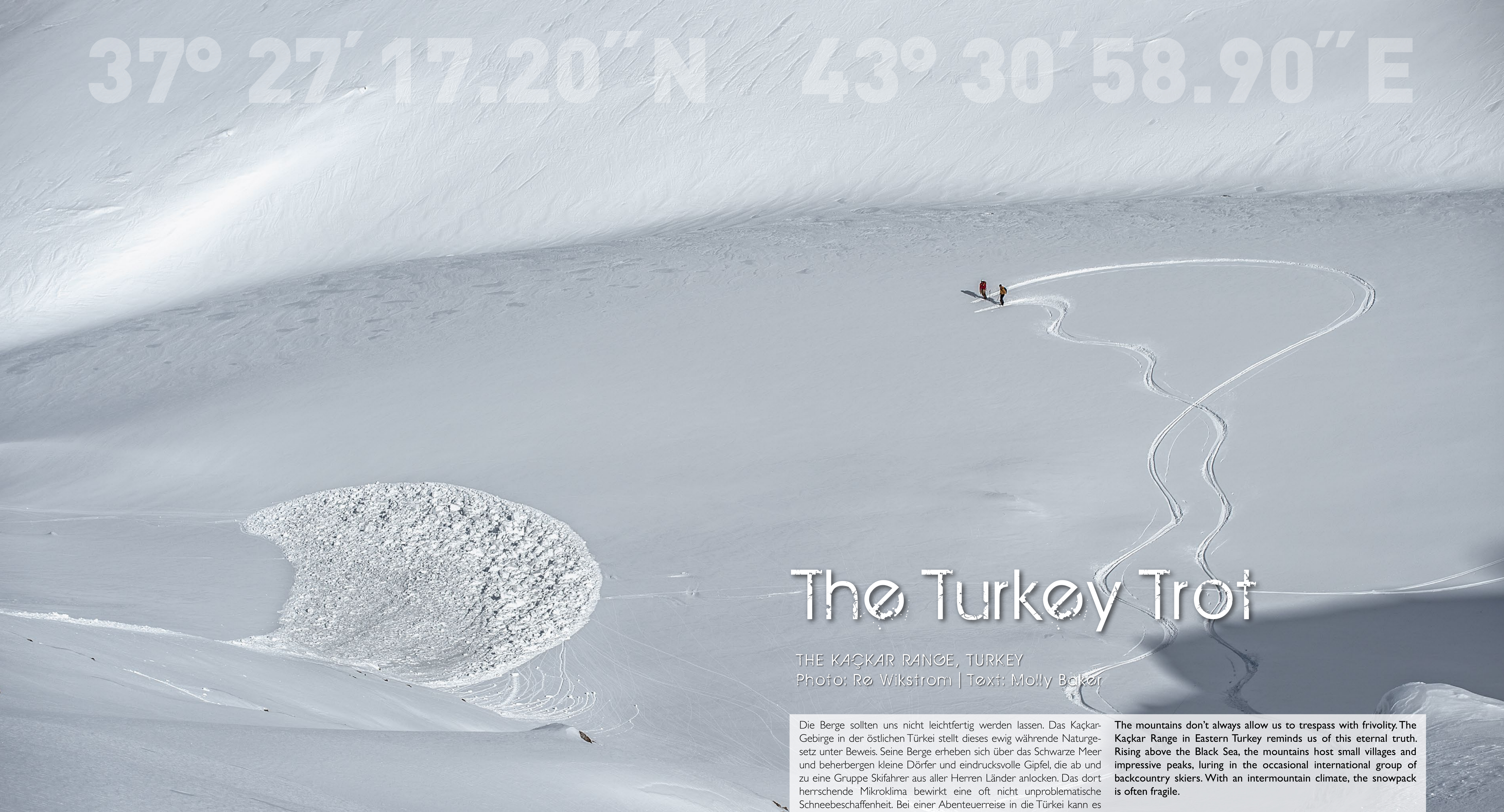 The Turkey Trot