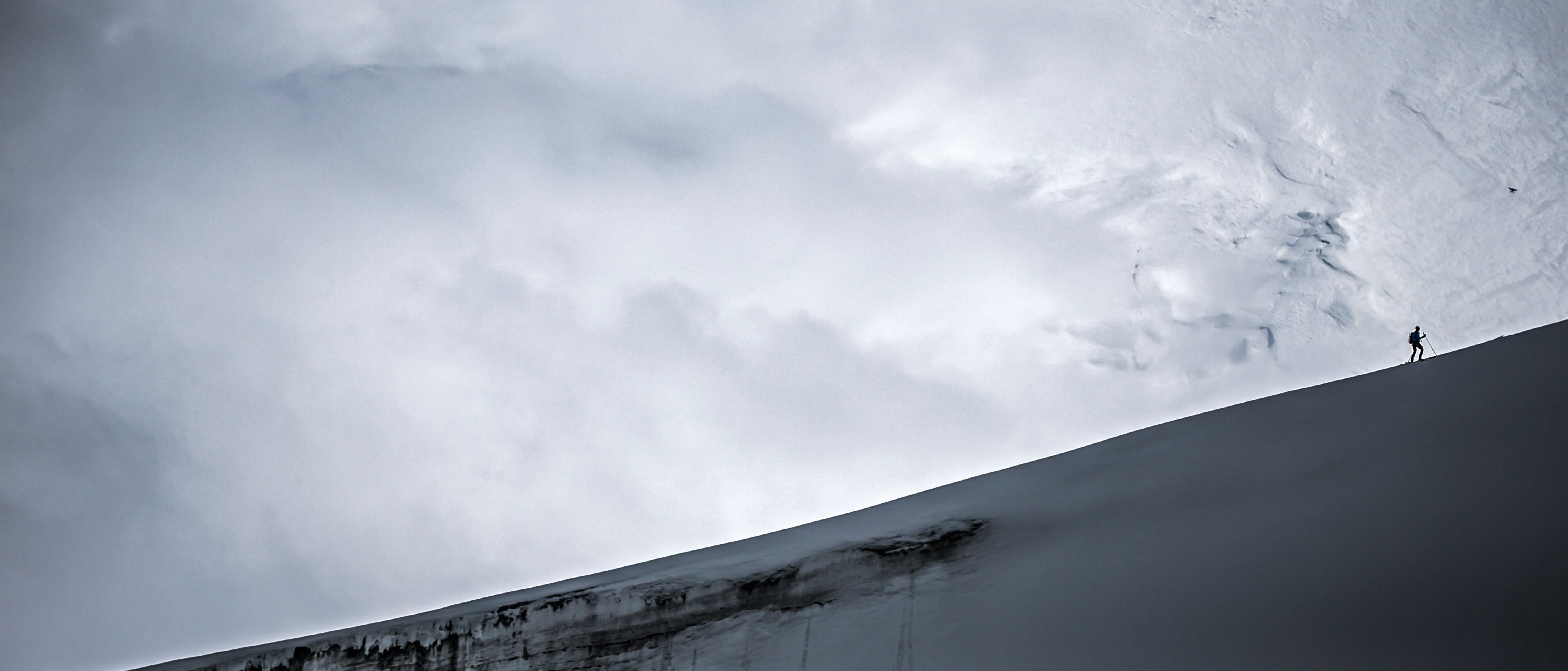 On the Snow Leopard’s Trail