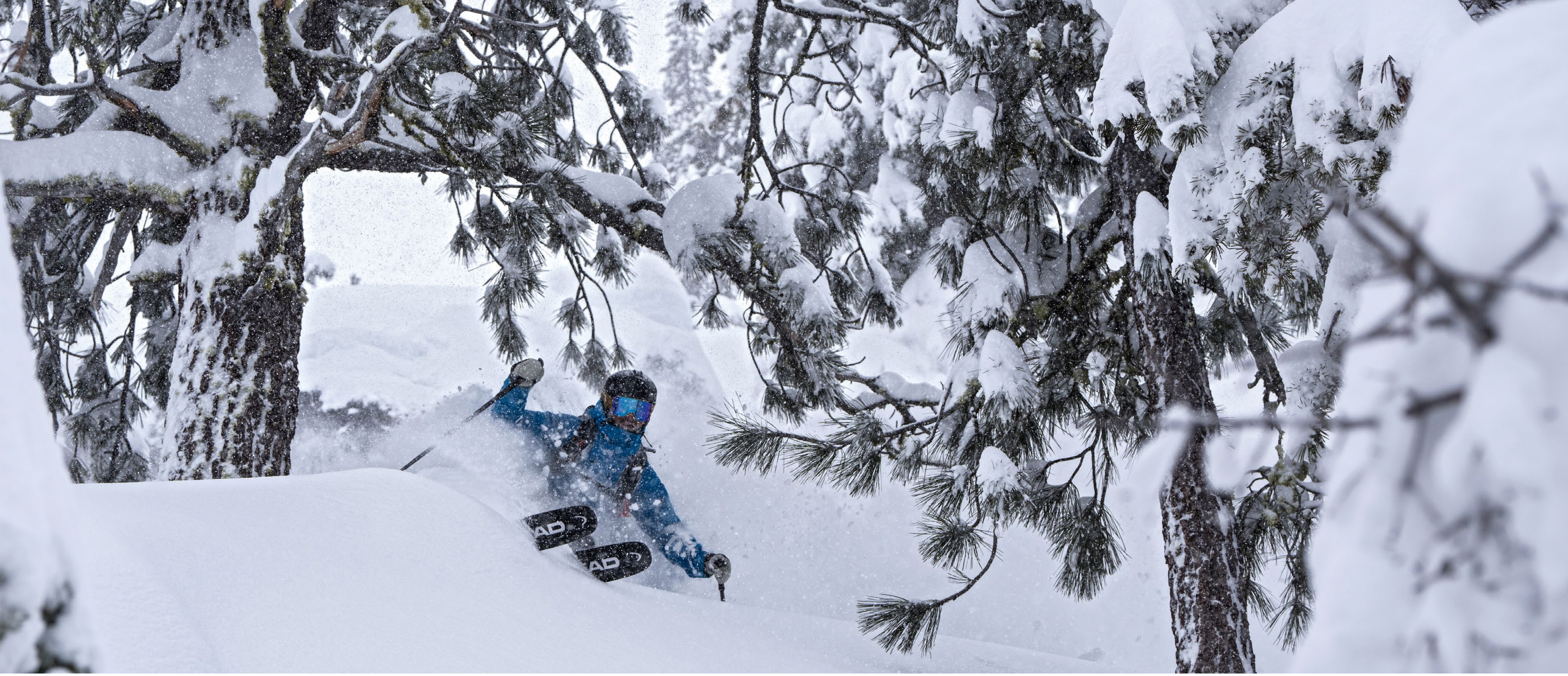 Epic Powder