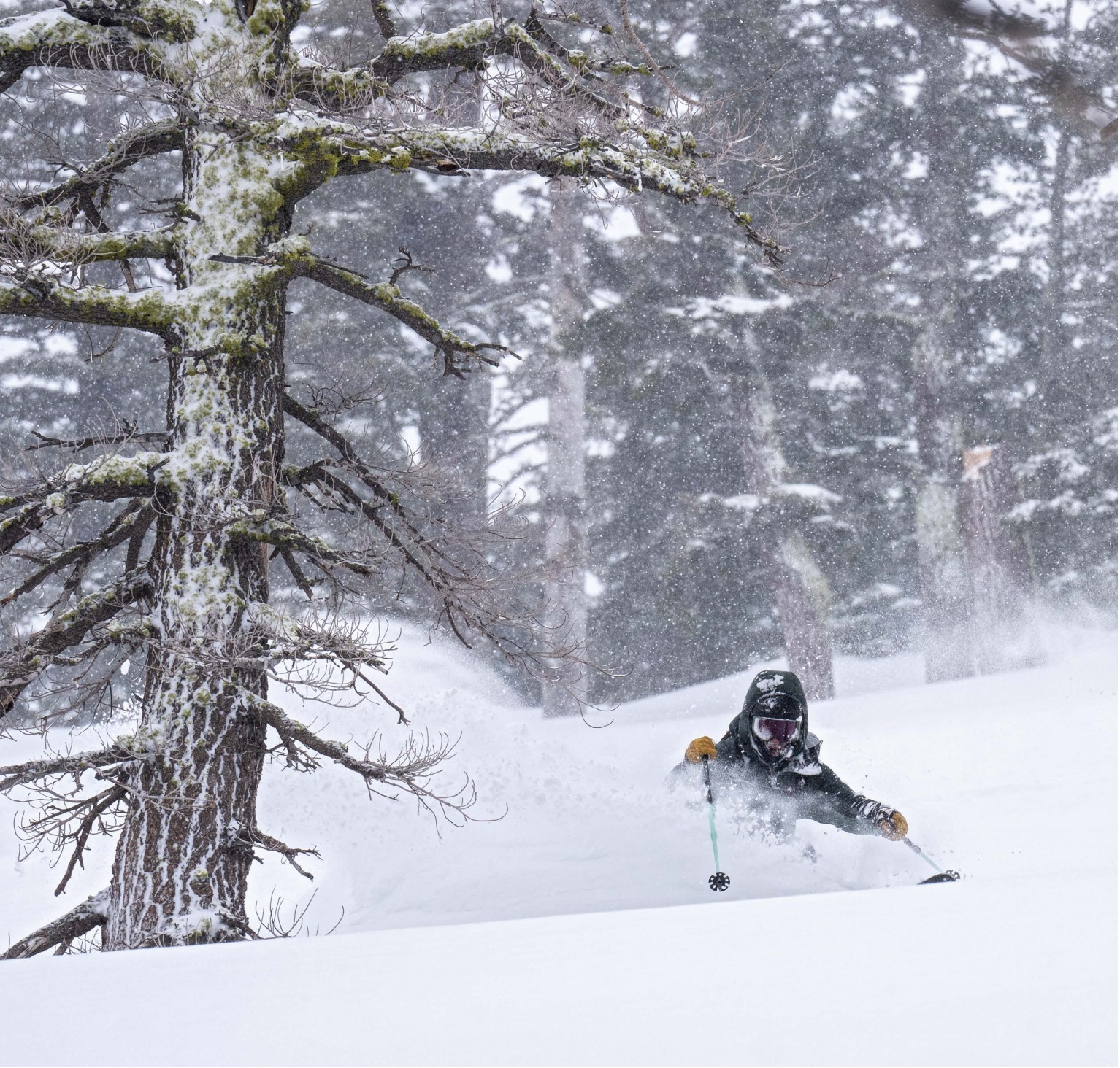 An Ocean of Pow