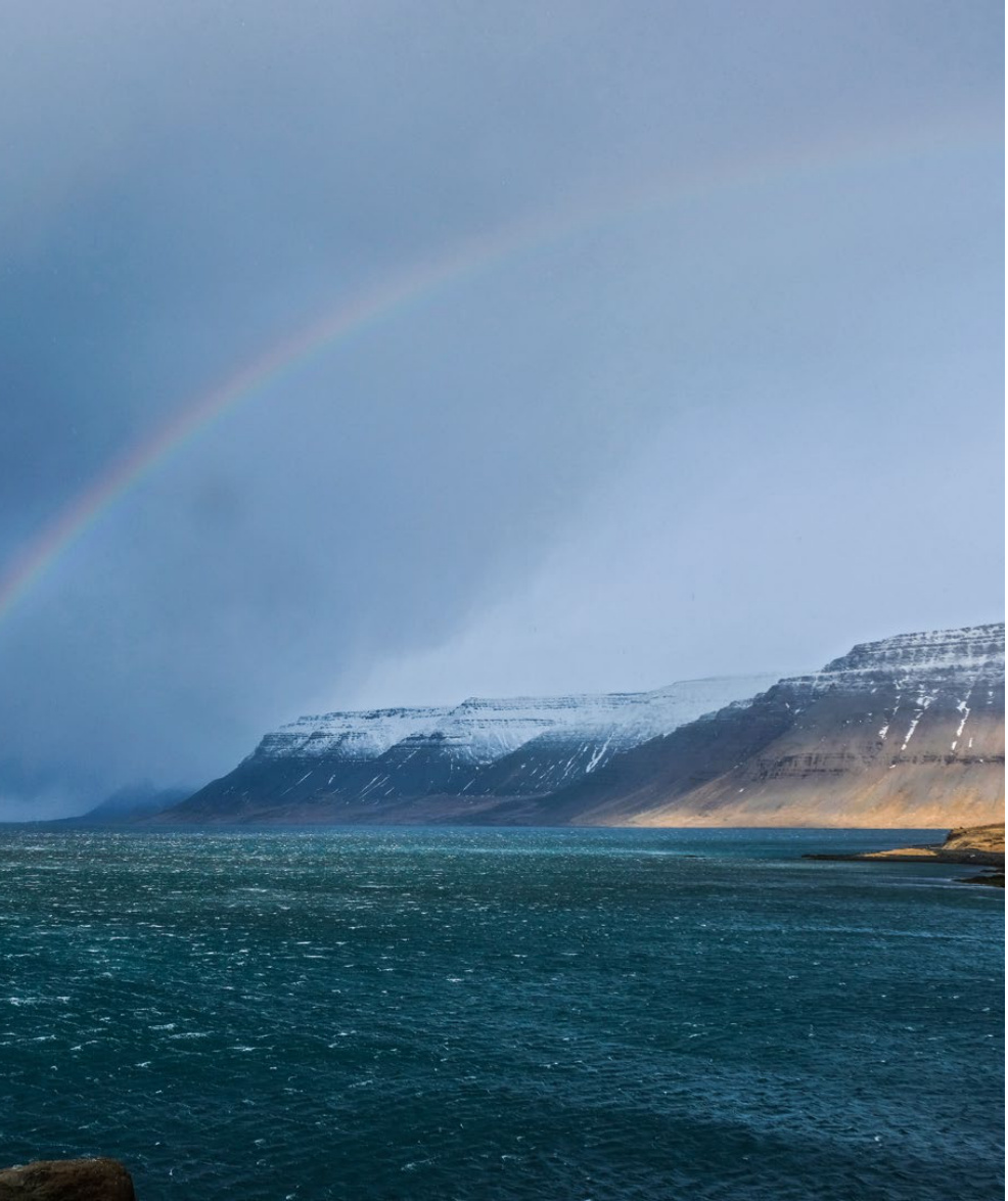 A Strong Taste of Iceland