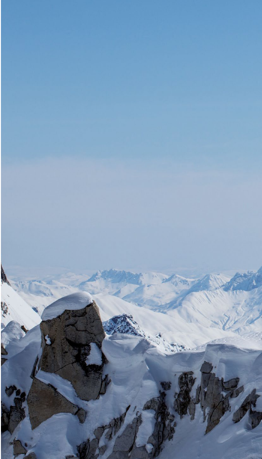 "Free Range" in Denali National Park