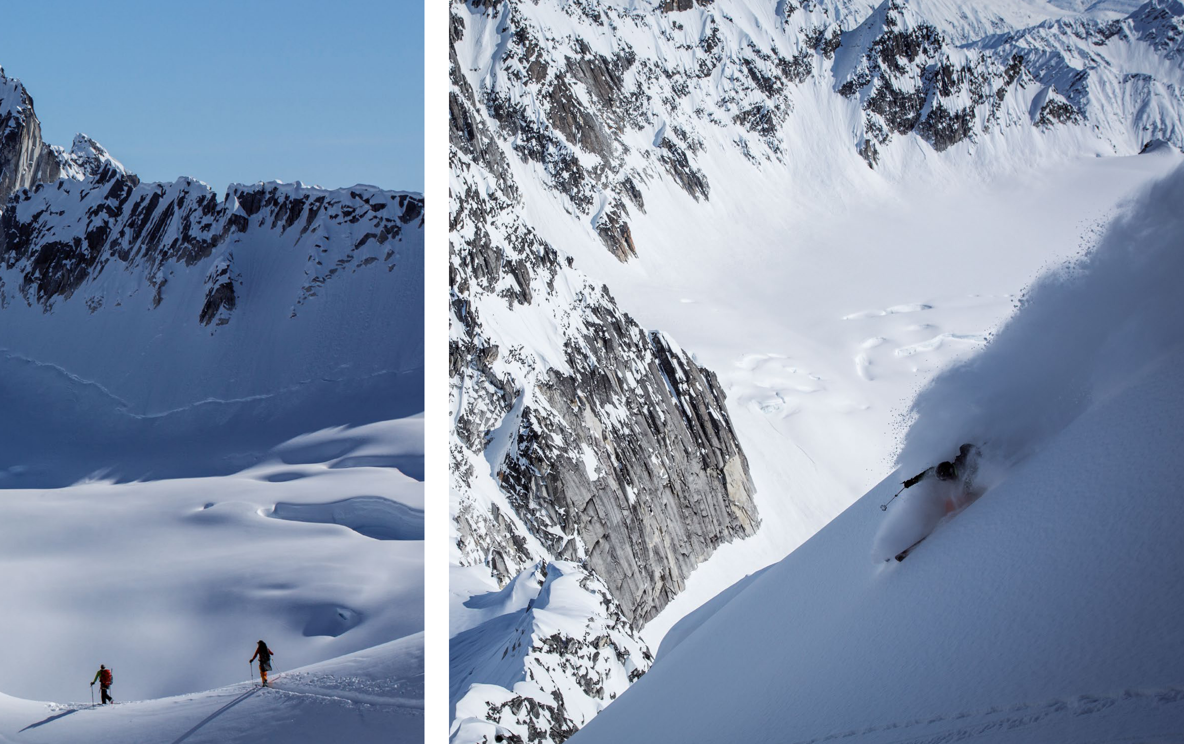 "Free Range" in Denali National Park