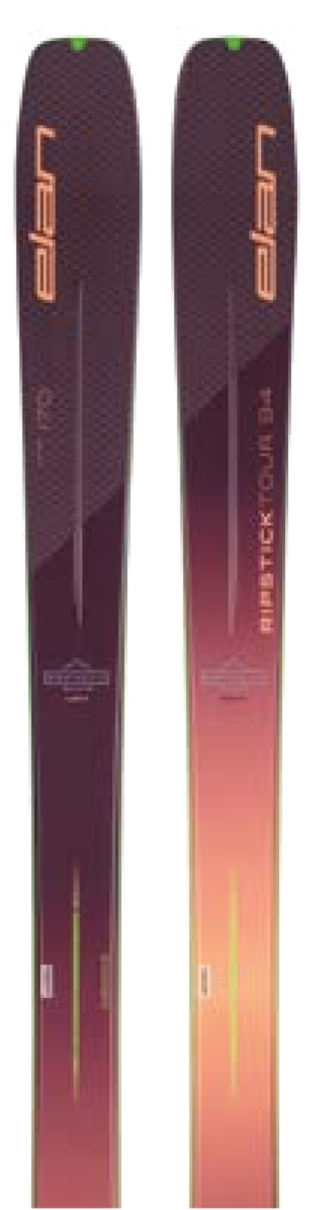 ELAN Ripstick Tour 94